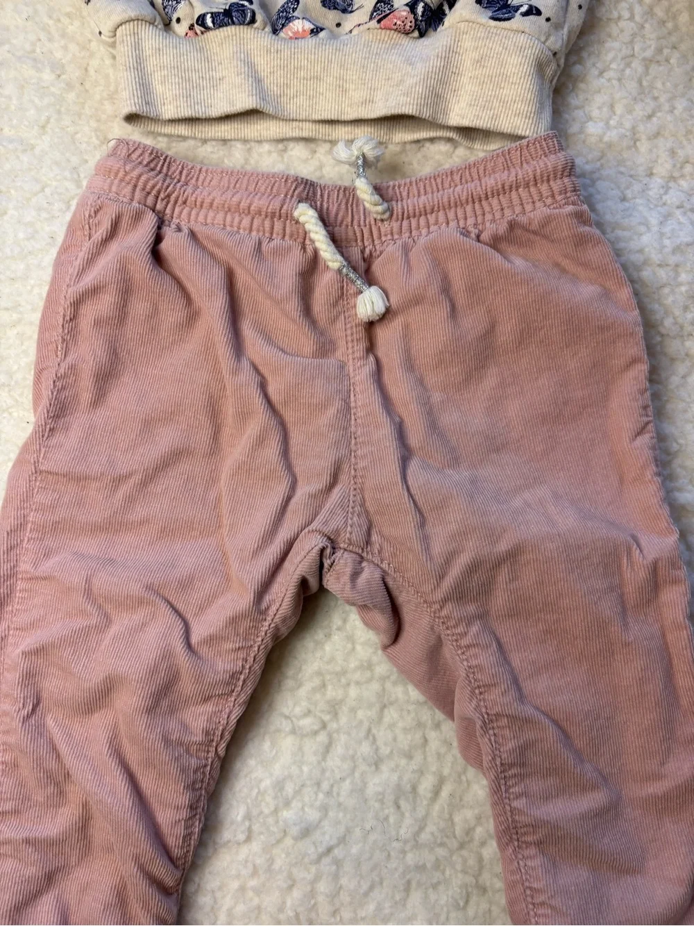 H&M Baby Girl 2-Piece Butterfly Sweatshirt & Pink Corduroy Pants Outfit Set